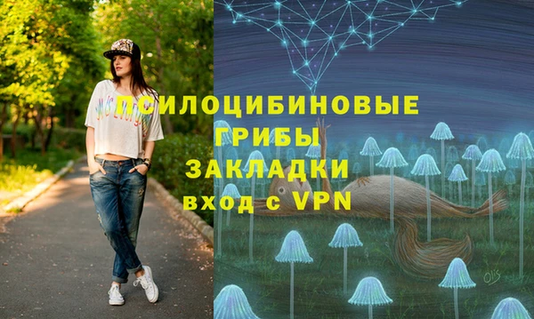 мдма Новодвинск