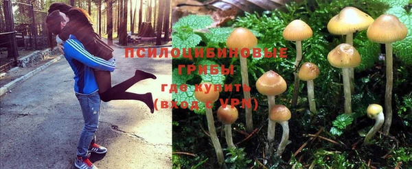 скорость Новозыбков