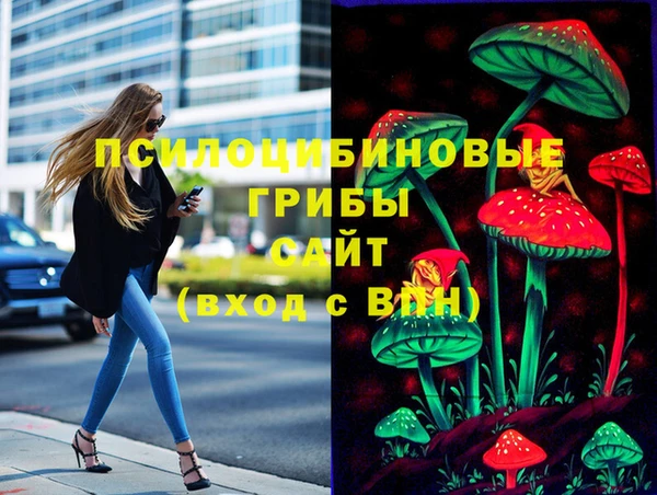 сатива Нефтегорск