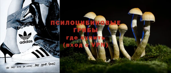 мдма Новодвинск