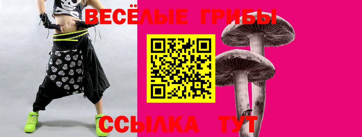 Сарапул  Псилоцибиновые грибы прущие грибы  Вход с VPN 